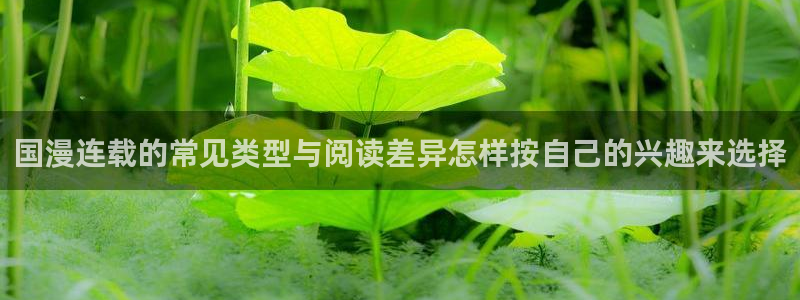 梦漫漫画人气作品:国漫连载的常见类型与阅读差异怎样按自己的兴趣来选择