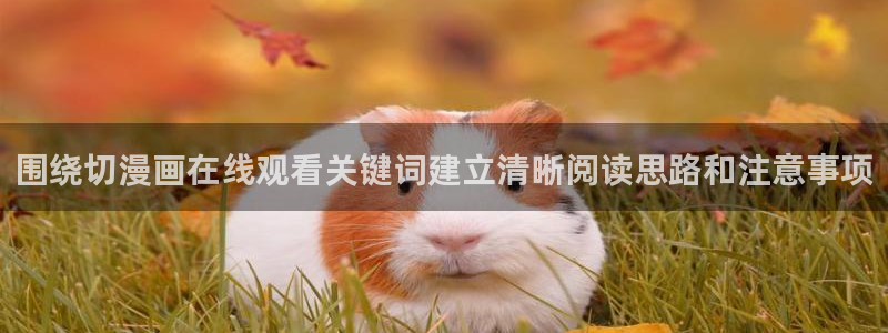 梦漫漫画软件入口:围绕切漫画在线观看关键词建立清晰阅读思路和注意事项